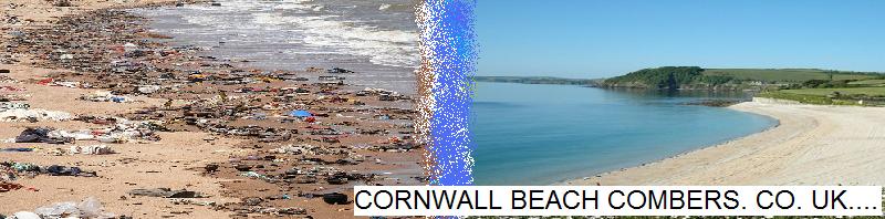 Cornwall Beach Combing - Emily's School Art Project!