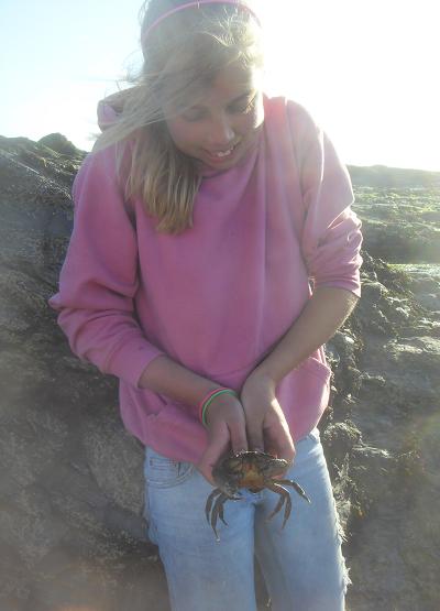 Emily Beach Combing
